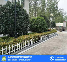 合肥綠化養(yǎng)護(hù) 合肥軒晨園藝公司 園林綠化養(yǎng)護(hù)