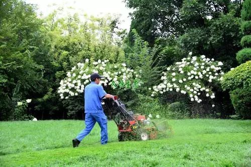 春季園林植物綠化養(yǎng)護(hù)攻略大全