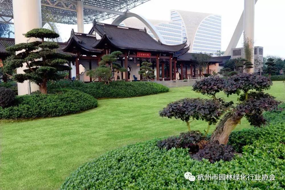 榮耀綻放 2016年度杭州市優(yōu)秀園林綠化工程綜合組金獎(jiǎng)——杭州國(guó)際園林綠化工程