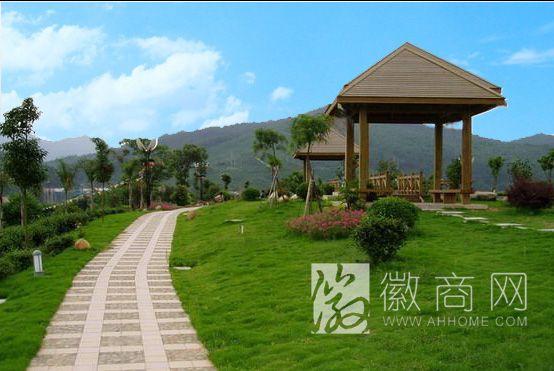 綠意盎然 安徽開(kāi)源園林綠化工程的發(fā)展與實(shí)踐