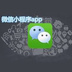 麗水微信小程序開發(fā)制作-海商網,商業(yè)服務產品庫